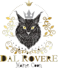 Logomarca Dal Rovere, criada pela Nucleous